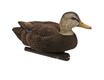 Pato señuelo