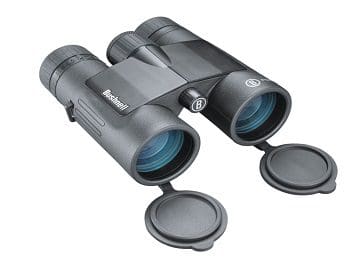 Binocular Bushnell 8x42